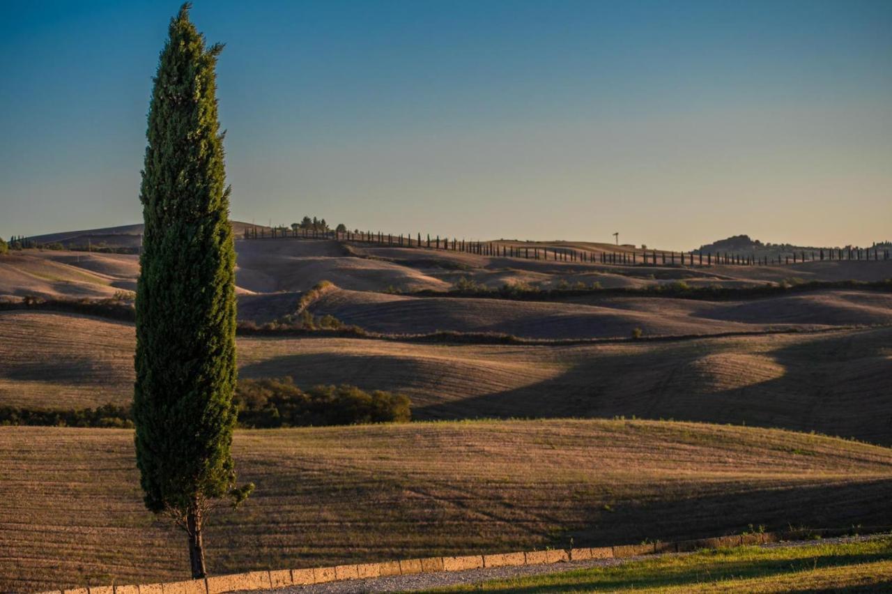 Casa Lavanda - Podere Fossaccio Asciano Bagian luar foto